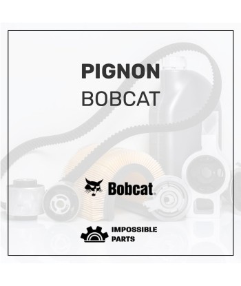 PIGNON , 75833.4 brillant des détails fins