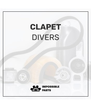 CLAPET , 7243-513 pas cher