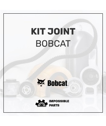 KIT JOINT , 7007412 français