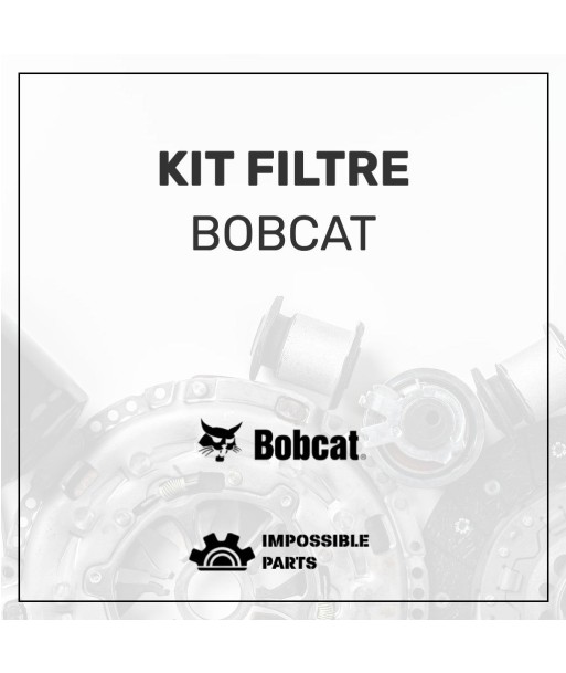 KIT FILTRE , 6900615 les ligaments