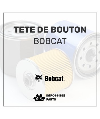 TETE DE BOUTON , 97886.6 votre