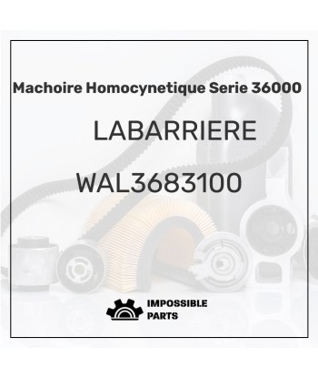 MACHOIRE HOMOCYNETIQUE SERIE 36000 Livraison rapide