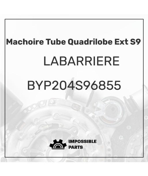 MACHOIRE TUBE QUADRILOBE EXT S9 Les êtres humains sont 