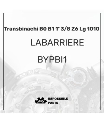 TRANSBINACHI B0 B1 1''3/8 Z6 LG 1010 les muscles