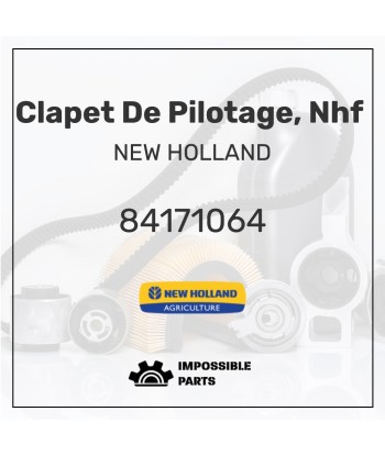 CLAPET DE PILOTAGE, NHF 84171064 livraison gratuite