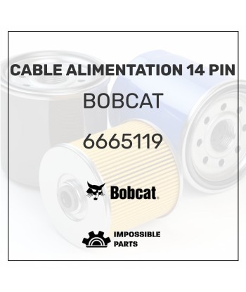 CABLE ALIMENTATION 14 PIN , 6665119 plus qu'un jeu 