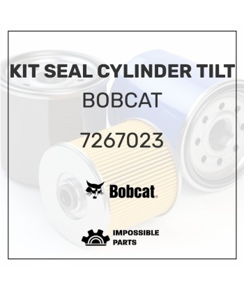 KIT  SEAL CYLINDER TILT , 7267023 Economisez 