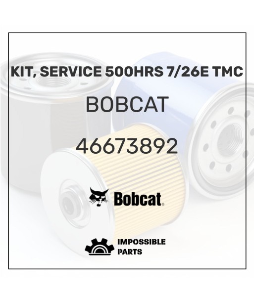 KIT, SERVICE 500HRS 7/26E TMC , 46673892 la livraison gratuite