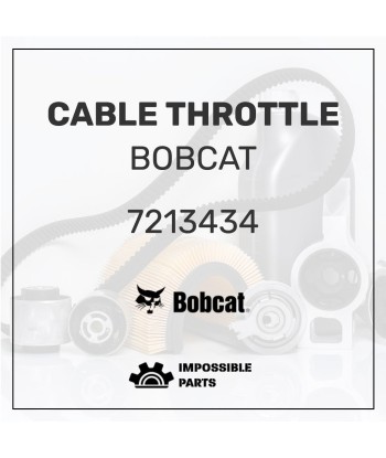 CABLE  THROTTLE , 7213434 brillant des détails fins