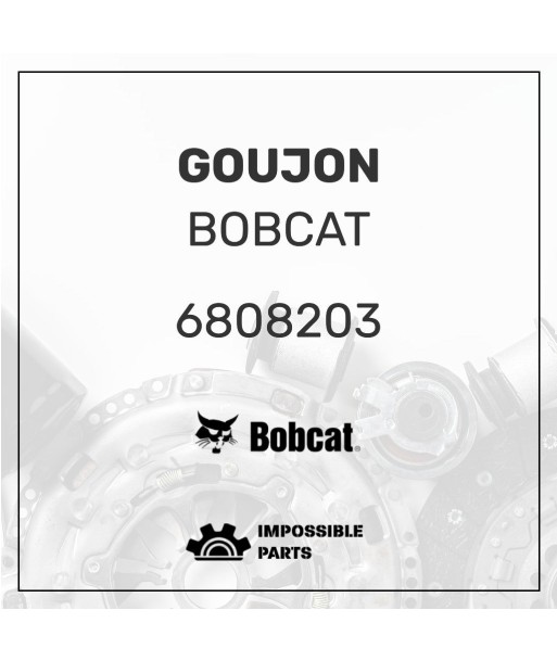 GOUJON , 6808203 En savoir plus