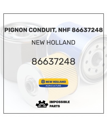 PIGNON CONDUIT, NHF 86637248 Véritable concentré