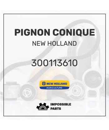 PIGNON CONIQUE est présent 