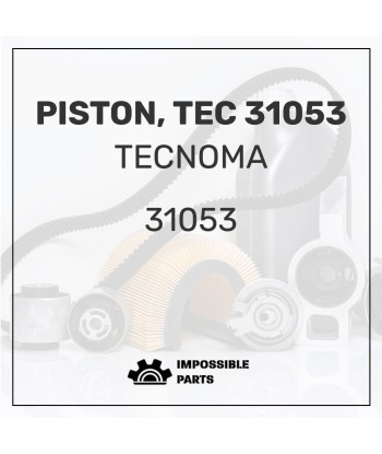 PISTON, TEC 31053 pas cher chine