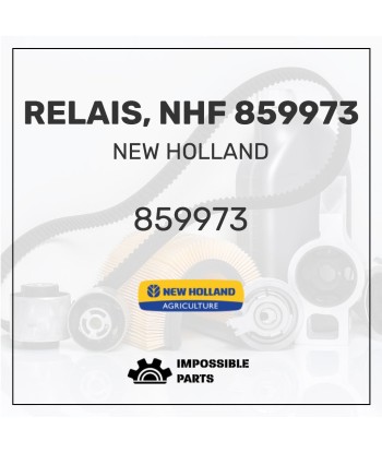 RELAIS, NHF 859973 Dans la société mordern