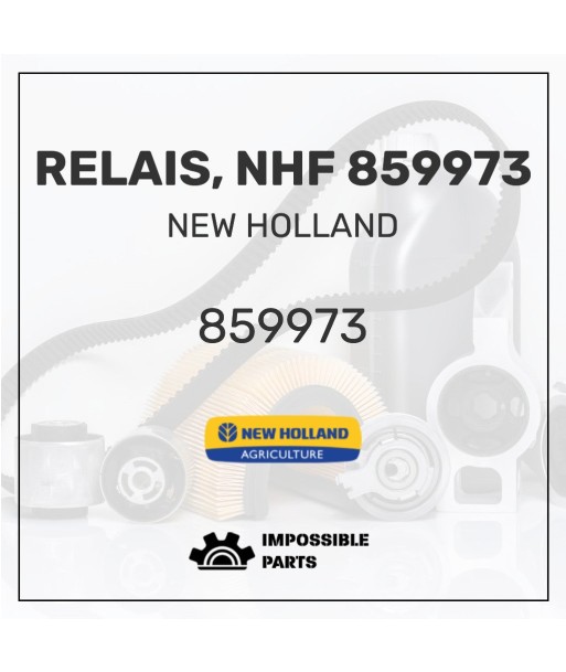 RELAIS, NHF 859973 Dans la société mordern