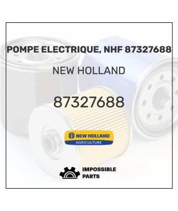 POMPE ELECTRIQUE, NHF 87327688 la chaussure