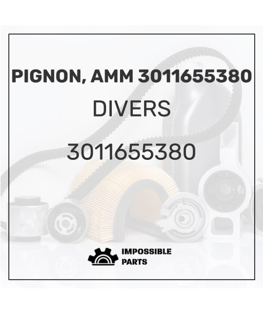 PIGNON, AMM 3011655380 de pas cher