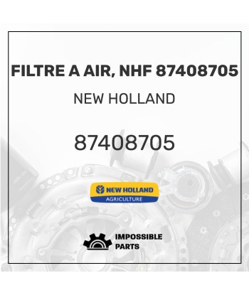 FILTRE A AIR, NHF 87408705 la chaussure