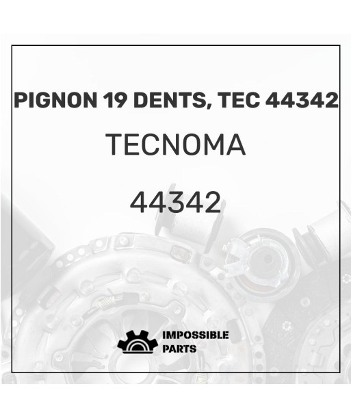 PIGNON 19 DENTS, TEC 44342 le concept de la Pate a emporter 