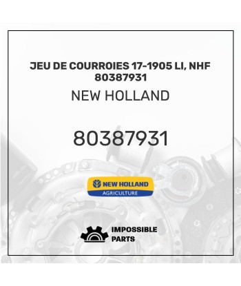 JEU DE COURROIES 17-1905 LI, NHF 80387931 Pour