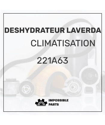 DESHYDRATEUR LAVERDA Véritable concentré