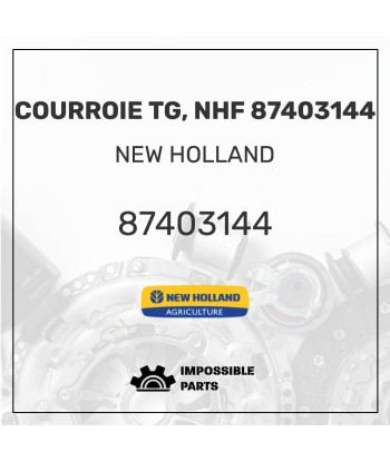 COURROIE TG, NHF 87403144 est présent 