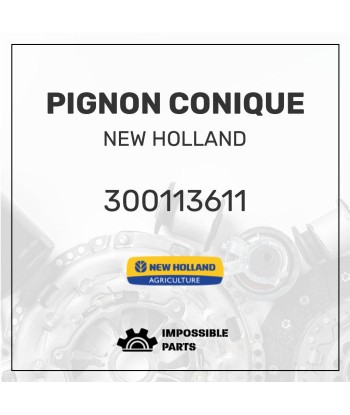 PIGNON CONIQUE Toutes les collections ici