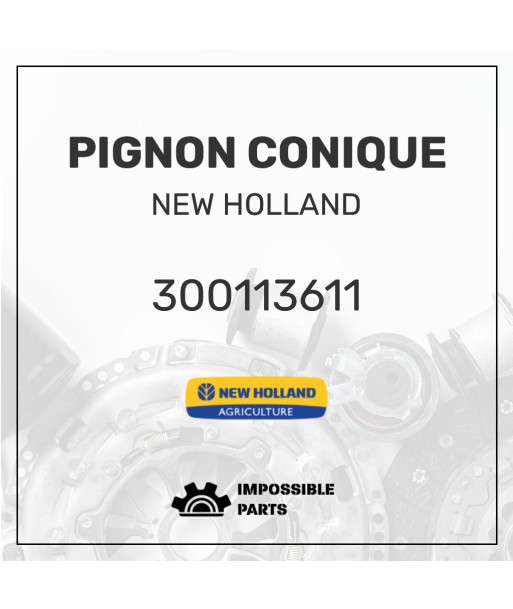 PIGNON CONIQUE Toutes les collections ici