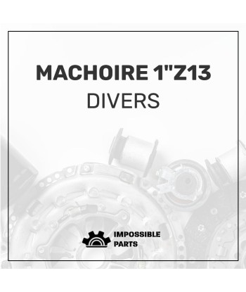 MACHOIRE 1"Z13 2023