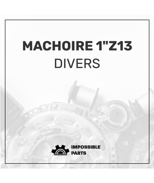 MACHOIRE 1"Z13 2023