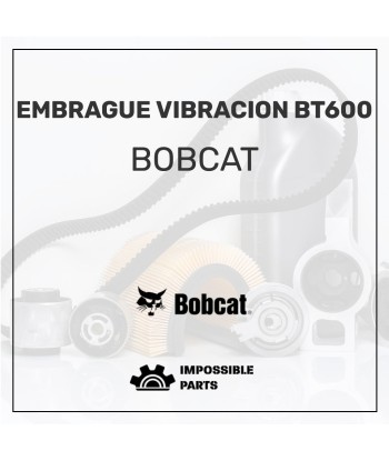 EMBRAGUE VIBRACION BT600 , 13201231 pas cher