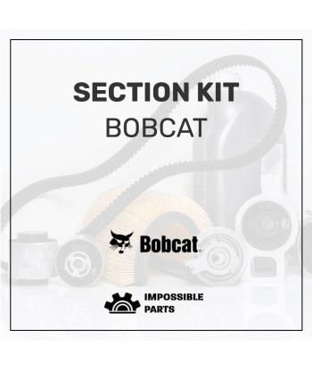 SECTION KIT , 6679866 Par le système avancé 