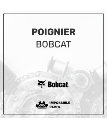 POIGNIER , 6680417 outlet