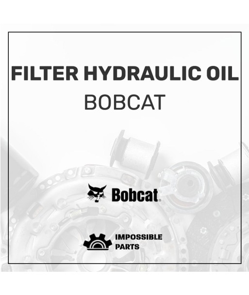 FILTER HYDRAULIC OIL , 7219048 Les magasins à Paris