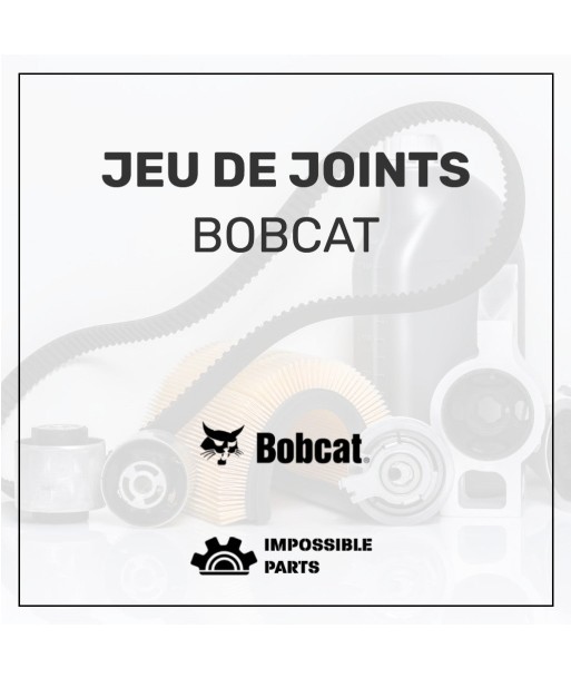 JEU DE JOINTS , 66419.3 votre