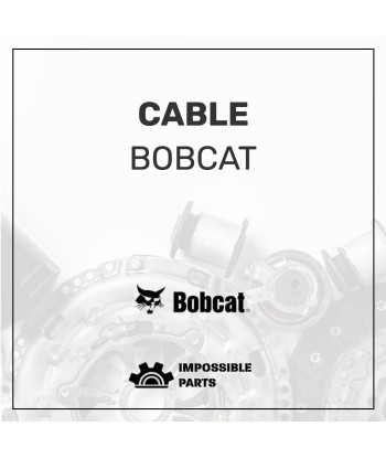 CABLE , 22069983 prix